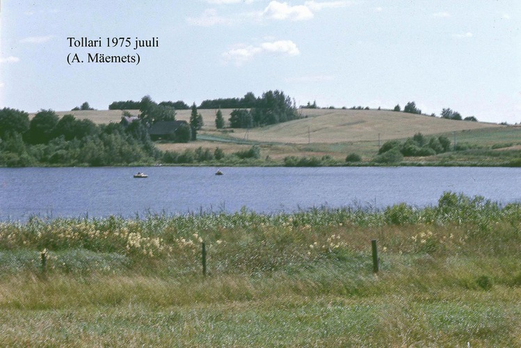 Maakond: Valgamaa Veekogu nimi: Tollari järv Pildistamise aeg: juuli 1975 Pildistaja: A. Mäemets Pildistamise koht: teadmata Asimuut: