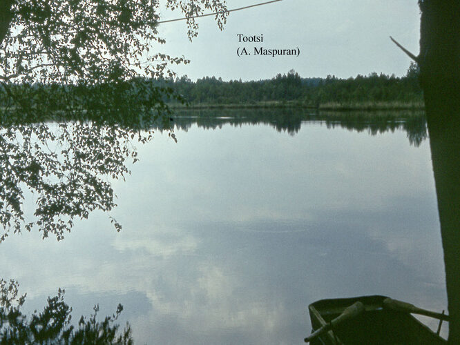 Maakond: Võrumaa Veekogu nimi: Toodsi järv Pildistamise aeg: teadmata Pildistaja: A. Maspuran Pildistamise koht: teadmata Asimuut: