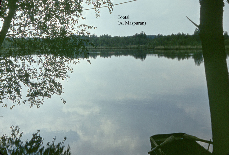 Maakond: Võrumaa Veekogu nimi: Toodsi järv Pildistamise aeg: teadmata Pildistaja: A. Maspuran Pildistamise koht: teadmata Asimuut: