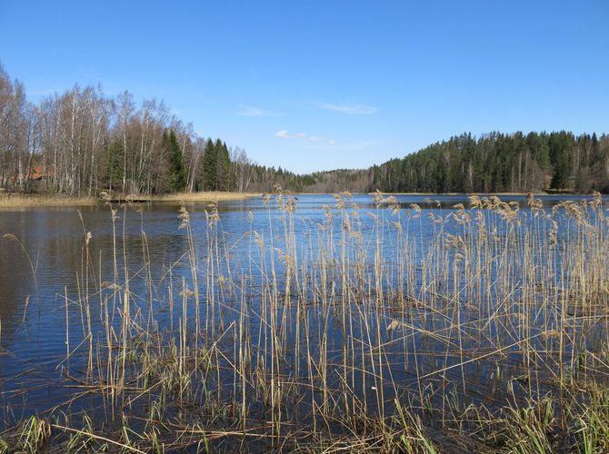 Maakond: Valgamaa Veekogu nimi: Tornijärv Pildistamise aeg: 2. mai 2013 Pildistaja: H. Timm Pildistamise koht: teadmata Asimuut: