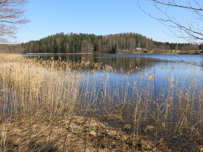 Maakond: Valgamaa Veekogu nimi: Tornijärv Pildistamise aeg: 2. mai 2013 Pildistaja: H. Timm Pildistamise koht: teadmata Asimuut: