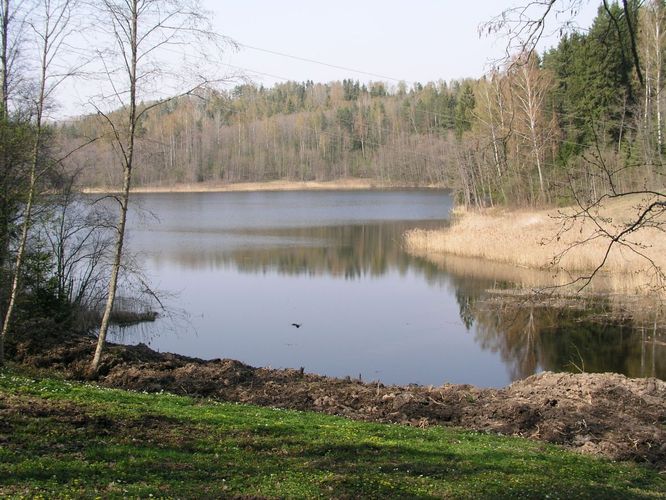 Maakond: Võrumaa Veekogu nimi: Tõugjärv Pildistamise aeg: 4. mai 2006 Pildistaja: H. Timm Pildistamise koht: teadmata Asimuut: