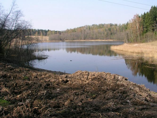 Maakond: Võrumaa Veekogu nimi: Tõugjärv Pildistamise aeg: 4. mai 2006 Pildistaja: H. Timm Pildistamise koht: teadmata Asimuut: