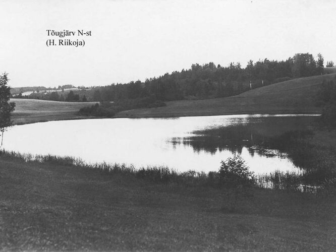 Maakond: Võrumaa Veekogu nimi: Tõugjärv Pildistamise aeg: teadmata Pildistaja: H. Riikoja Pildistamise koht: N kaldalt Asimuut: S