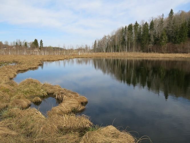 Maakond: Valgamaa Veekogu nimi: Trepimäe Pildistamise aeg: 7. mai 2013 Pildistaja: H. Timm Pildistamise koht: teadmata Asimuut: