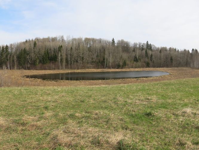 Maakond: Valgamaa Veekogu nimi: Trepimäe Pildistamise aeg: 7. mai 2013 Pildistaja: H. Timm Pildistamise koht: teadmata Asimuut: