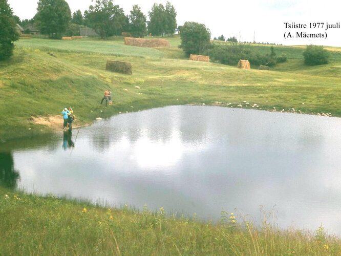 Maakond: Võrumaa Veekogu nimi: Tsiistre vetevaotus Pildistamise aeg: juuli 1977 Pildistaja: A. Mäemets Pildistamise koht: teadmata Asimuut: