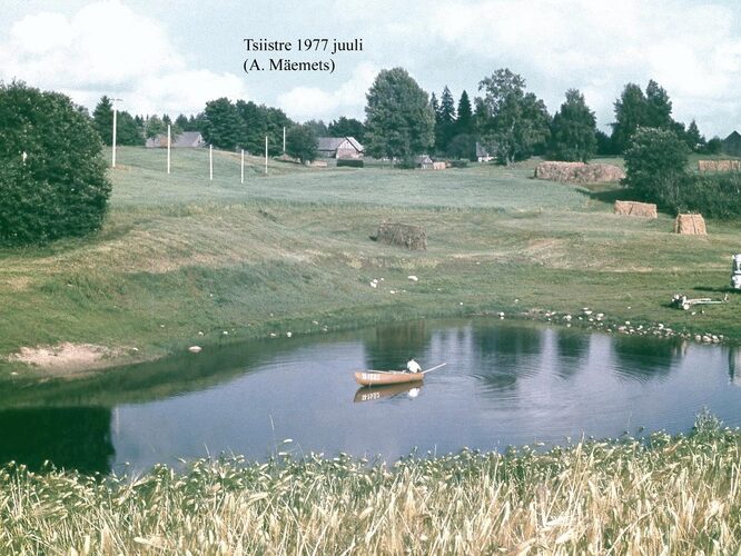 Maakond: Võrumaa Veekogu nimi: Tsiistre vetevaotus Pildistamise aeg: juuli 1977 Pildistaja: A. Mäemets Pildistamise koht: teadmata Asimuut: