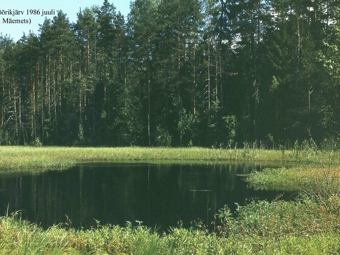 Maakond: Valgamaa Veekogu nimi: Tsõõrikjärv Pildistamise aeg: juuli 1986 Pildistaja: A. Mäemets Pildistamise koht: Sangaste lossist S Asimuut: