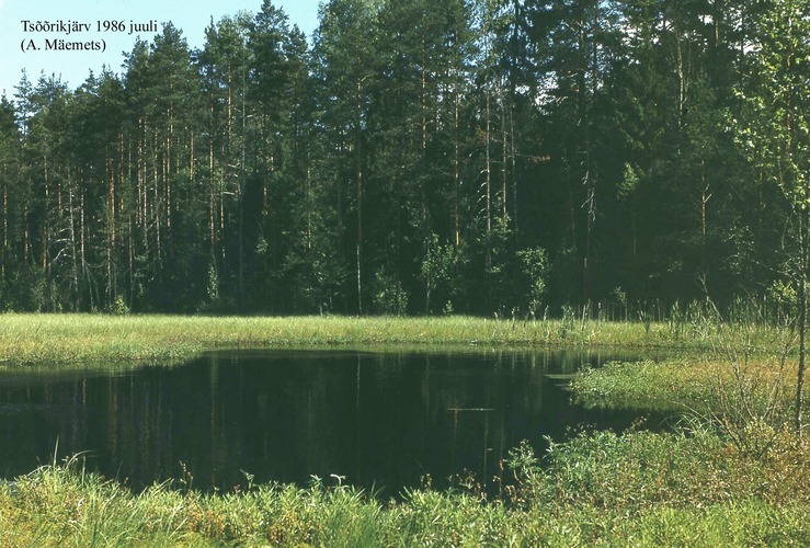 Maakond: Valgamaa Veekogu nimi: Tsõõrikjärv Pildistamise aeg: juuli 1986 Pildistaja: A. Mäemets Pildistamise koht: Sangaste lossist S Asimuut: