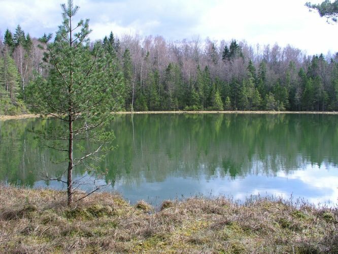 Maakond: Võrumaa Veekogu nimi: Tuhkri järv Pildistamise aeg: 9. mai 2005 Pildistaja: H. Timm Pildistamise koht: teadmata Asimuut: