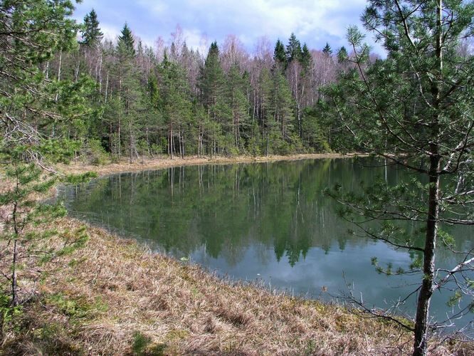 Maakond: Võrumaa Veekogu nimi: Tuhkri järv Pildistamise aeg: 9. mai 2005 Pildistaja: H. Timm Pildistamise koht: teadmata Asimuut: