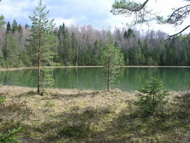 Maakond: Võrumaa Veekogu nimi: Tuhkri järv Pildistamise aeg: 9. mai 2005 Pildistaja: H. Timm Pildistamise koht: teadmata Asimuut: