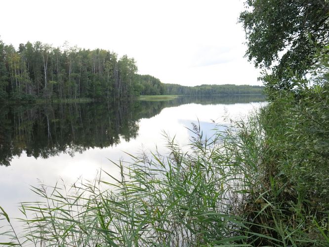 Maakond: Valgamaa Veekogu nimi: Tündre järv Pildistamise aeg: 30. august 2013 Pildistaja: H. Timm Pildistamise koht: teadmata Asimuut:Maakond: Valgamaa Veekogu nimi: Tündre järv Pildistamise aeg: 30. august 2013 Pildistaja: H. Timm Pildistamise koht: teadmata Asimuut: