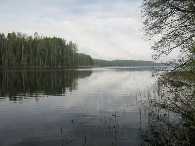 Maakond: Viljandimaa Veekogu nimi: Tündre järv Pildistamise aeg: 13. mai 2013 Pildistaja: H. Timm Pildistamise koht: teadmata Asimuut: