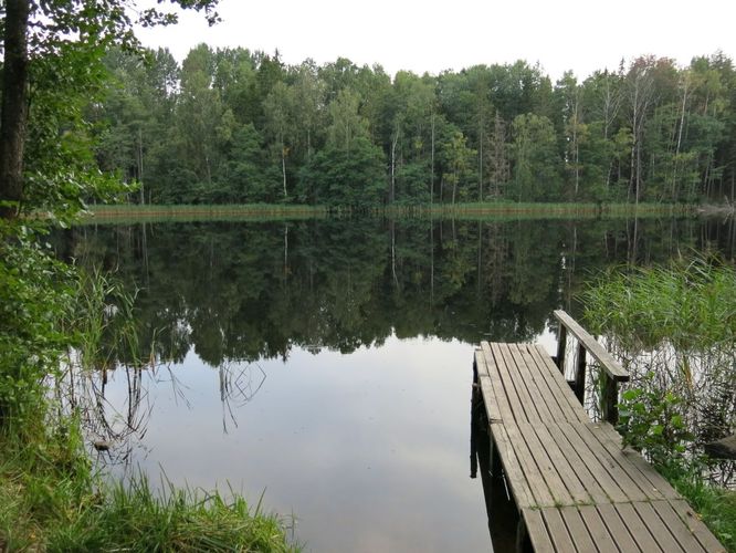 Maakond: Valgamaa Veekogu nimi: Tündre järv Pildistamise aeg: 30. august 2013 Pildistaja: H. Timm Pildistamise koht: teadmata Asimuut: