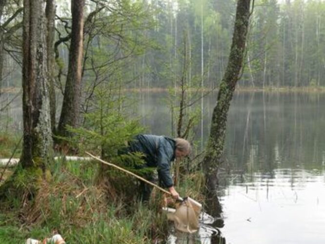 Maakond: Viljandimaa Veekogu nimi: Tündre järv Pildistamise aeg: 13. mai 2013 Pildistaja: H. Timm Pildistamise koht: teadmata Asimuut: