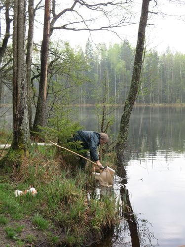 Maakond: Viljandimaa Veekogu nimi: Tündre järv Pildistamise aeg: 13. mai 2013 Pildistaja: H. Timm Pildistamise koht: teadmata Asimuut: