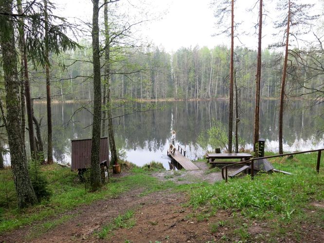 Maakond: Viljandimaa Veekogu nimi: Tündre järv Pildistamise aeg: 13. mai 2013 Pildistaja: H. Timm Pildistamise koht: teadmata Asimuut: