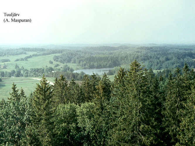 Maakond: Võrumaa Veekogu nimi: Tuuljärv Pildistamise aeg: teadmata Pildistaja: A. Maspuran Pildistamise koht: teadmata Asimuut: