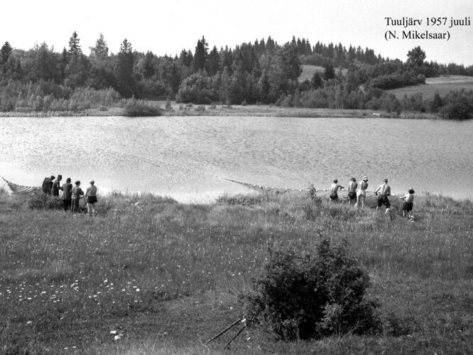 Maakond: Võrumaa Veekogu nimi: Tuuljärv Pildistamise aeg: juuli 1957 Pildistaja: N. Mikelsaar Pildistamise koht: teadmata Asimuut: