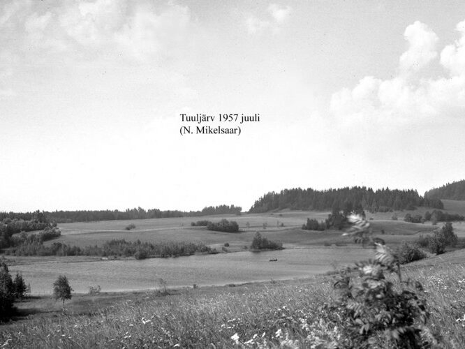 Maakond: Võrumaa Veekogu nimi: Tuuljärv Pildistamise aeg: juuli 1957 Pildistaja: N. Mikelsaar Pildistamise koht: teadmata Asimuut: