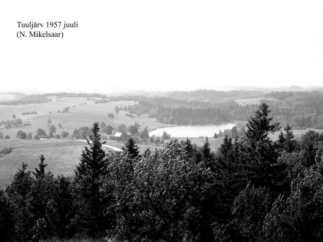 Maakond: Võrumaa Veekogu nimi: Tuuljärv Pildistamise aeg: juuli 1957 Pildistaja: N. Mikelsaar Pildistamise koht: Suure Munam Asimuut: