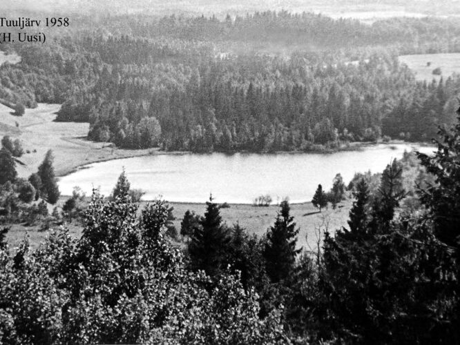 Maakond: Võrumaa Veekogu nimi: Tuuljärv Pildistamise aeg: 1958 Pildistaja: H. Uusi (Eesti Looduse arhiiv) Pildistamise koht: teadmata Asimuut: