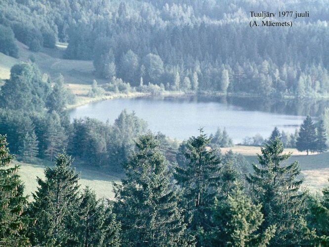 Maakond: Võrumaa Veekogu nimi: Tuuljärv Pildistamise aeg: juuli 1977 Pildistaja: A. Mäemets Pildistamise koht: Suure Munam Asimuut: