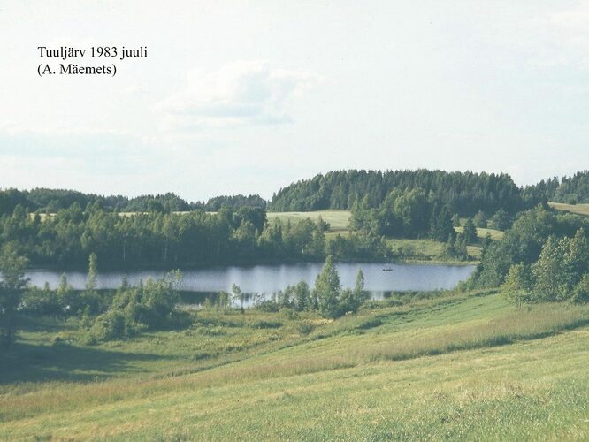 Maakond: Võrumaa Veekogu nimi: Tuuljärv Pildistamise aeg: juuli 1983 Pildistaja: A. Mäemets Pildistamise koht: teadmata Asimuut: