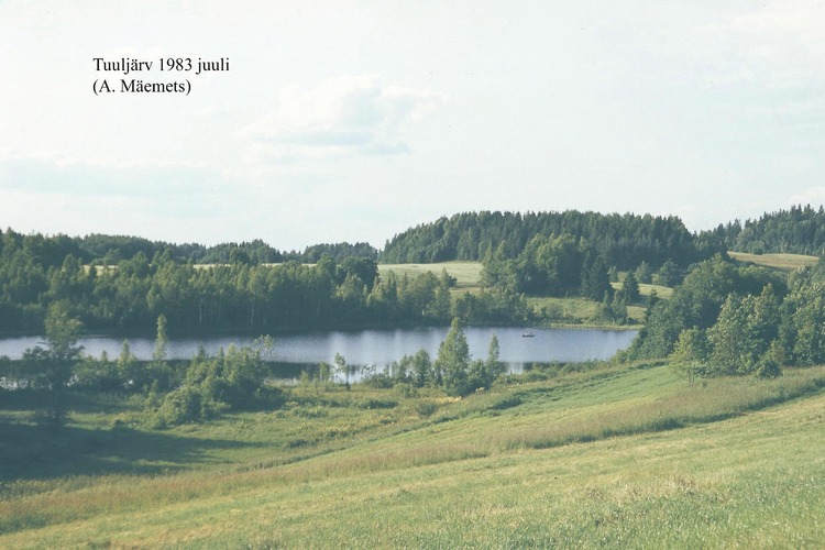 Maakond: Võrumaa Veekogu nimi: Tuuljärv Pildistamise aeg: juuli 1983 Pildistaja: A. Mäemets Pildistamise koht: teadmata Asimuut: