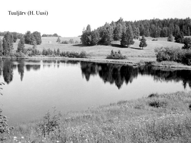 Maakond: Võrumaa Veekogu nimi: Tuuljärv Pildistamise aeg: teadmata Pildistaja: H. Uusi (Eesti Looduse arhiiv) Pildistamise koht: teadmata Asimuut: