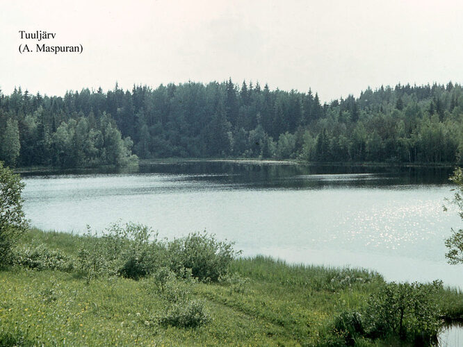 Maakond: Võrumaa Veekogu nimi: Tuuljärv Pildistamise aeg: teadmata Pildistaja: A. Maspuran Pildistamise koht: teadmata Asimuut: