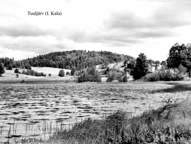 Maakond: Võrumaa Veekogu nimi: Tuuljärv Pildistamise aeg: teadmata Pildistaja: I. Kala (Eesti Looduse arhiiv) Pildistamise koht: teadmata Asimuut: