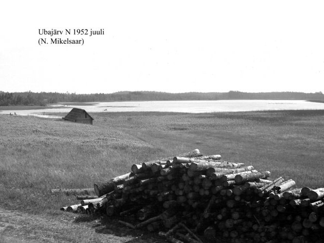 Maakond: Võrumaa Veekogu nimi: Ubajärv Pildistamise aeg: juuli 1952 Pildistaja: N. Mikelsaar Pildistamise koht: N kaldalt Asimuut: