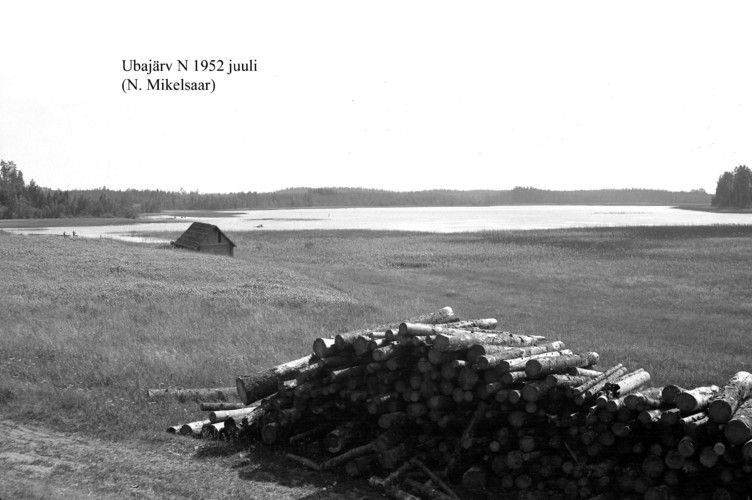 Maakond: Võrumaa Veekogu nimi: Ubajärv Pildistamise aeg: juuli 1952 Pildistaja: N. Mikelsaar Pildistamise koht: N kaldalt Asimuut: