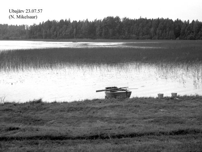 Maakond: Võrumaa Veekogu nimi: Ubajärv Pildistamise aeg: 23. juuli 1957 Pildistaja: N. Mikelsaar Pildistamise koht: teadmata Asimuut: