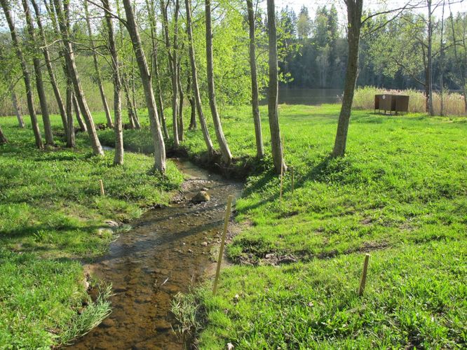 Maakond: Võrumaa Veekogu nimi: Uhtjärv Pildistamise aeg: 10. mai 2012 Pildistaja: H. Timm Pildistamise koht: teadmata Asimuut: