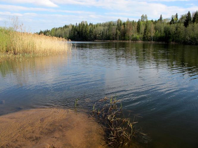 Maakond: Võrumaa Veekogu nimi: Uhtjärv Pildistamise aeg: 10. mai 2012 Pildistaja: H. Timm Pildistamise koht: teadmata Asimuut: