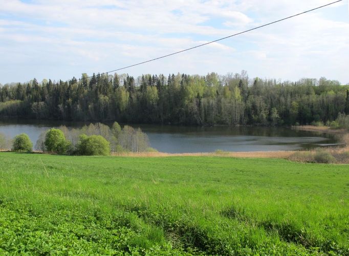 Maakond: Võrumaa Veekogu nimi: Uhtjärv Pildistamise aeg: 10. mai 2012 Pildistaja: H. Timm Pildistamise koht: teadmata Asimuut: