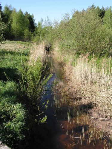 Maakond: Viljandimaa Veekogu nimi: Uia oja Pildistamise aeg: 21. mai 2004 Pildistaja: H. Timm Pildistamise koht: Öördi Asimuut: