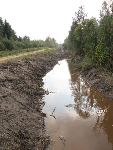 Maakond: Viljandimaa Veekogu nimi: Uia oja Pildistamise aeg: 14. september 2010 Pildistaja: H. Timm Pildistamise koht: teadmata Asimuut: