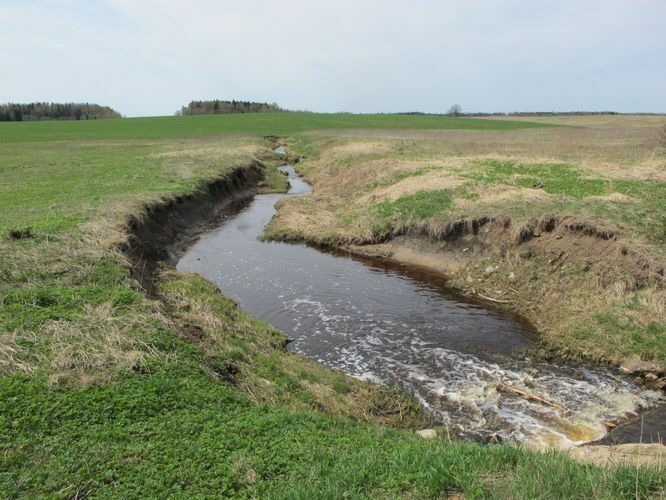 Maakond: Valgamaa Veekogu nimi: Ujuste oja Pildistamise aeg: 29. aprill 2012 Pildistaja: H. Timm Pildistamise koht: alamjooks Asimuut: