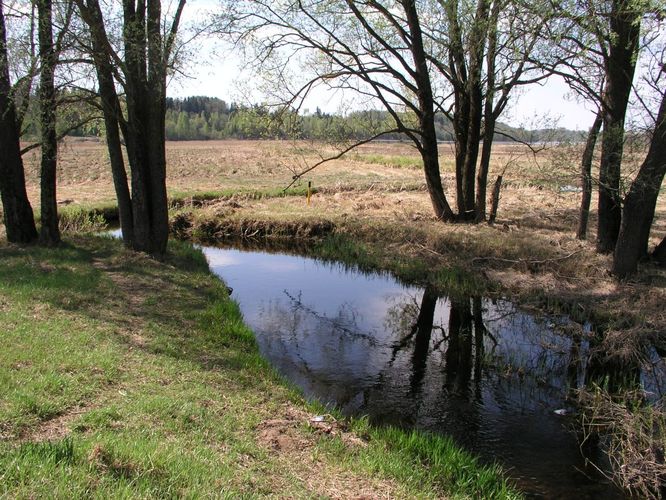 Maakond: Viljandimaa Veekogu nimi: Uueveski oja Pildistamise aeg: 10. mai 2006 Pildistaja: H. Timm Pildistamise koht: enne Viljandi järve Asimuut: