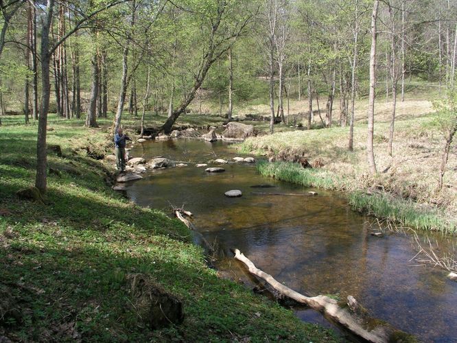 Maakond: Viljandimaa Veekogu nimi: Uueveski oja Pildistamise aeg: 10. mai 2006 Pildistaja: H. Timm Pildistamise koht: pargis Asimuut: