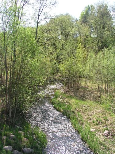 Maakond: Viljandimaa Veekogu nimi: Uueveski oja Pildistamise aeg: 10. mai 2006 Pildistaja: H. Timm Pildistamise koht: ülalpool Kösti paisjärve, sillalt Asimuut: