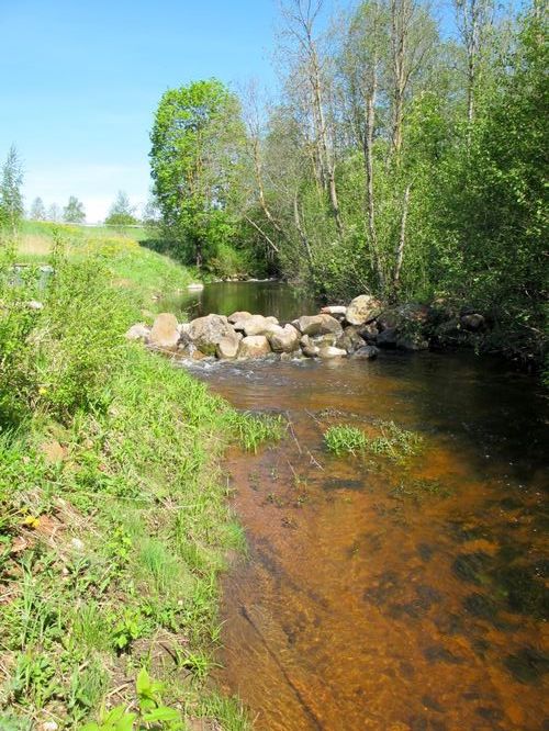 Maakond: Viljandimaa Veekogu nimi: Uueveski oja Pildistamise aeg: 19. mai 2012 Pildistaja: H. Timm Pildistamise koht: Põltsamaa - Viljandi Asimuut: