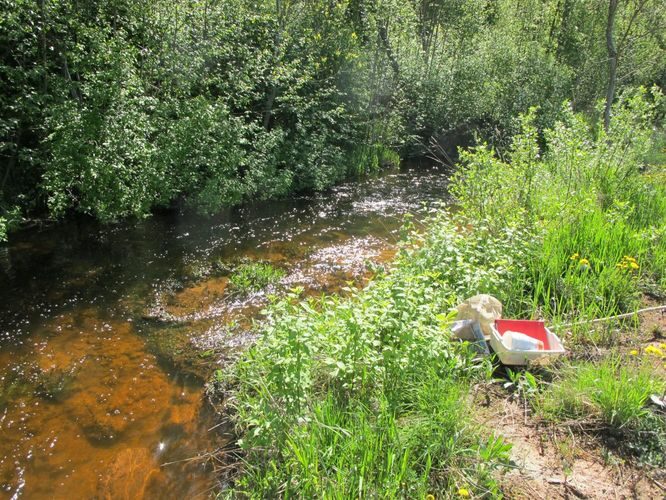 Maakond: Viljandimaa Veekogu nimi: Uueveski oja Pildistamise aeg: 19. mai 2012 Pildistaja: H. Timm Pildistamise koht: Põltsamaa - Viljandi Asimuut: