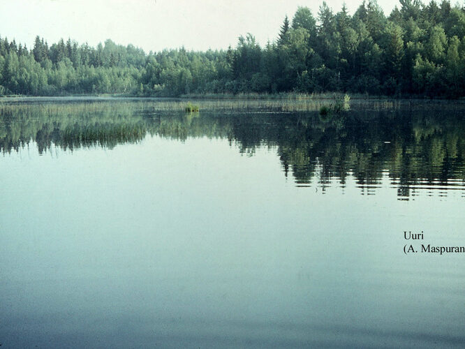 Maakond: Võrumaa Veekogu nimi: Uuri järv Pildistamise aeg: teadmata Pildistaja: A. Maspuran Pildistamise koht: teadmata Asimuut: