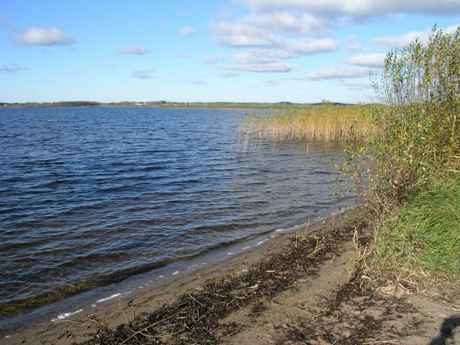 Maakond: Võrumaa Veekogu nimi: Vagula järv Pildistamise aeg: 16. oktoober 2003 Pildistaja: H. Timm Pildistamise koht: teadmata Asimuut: